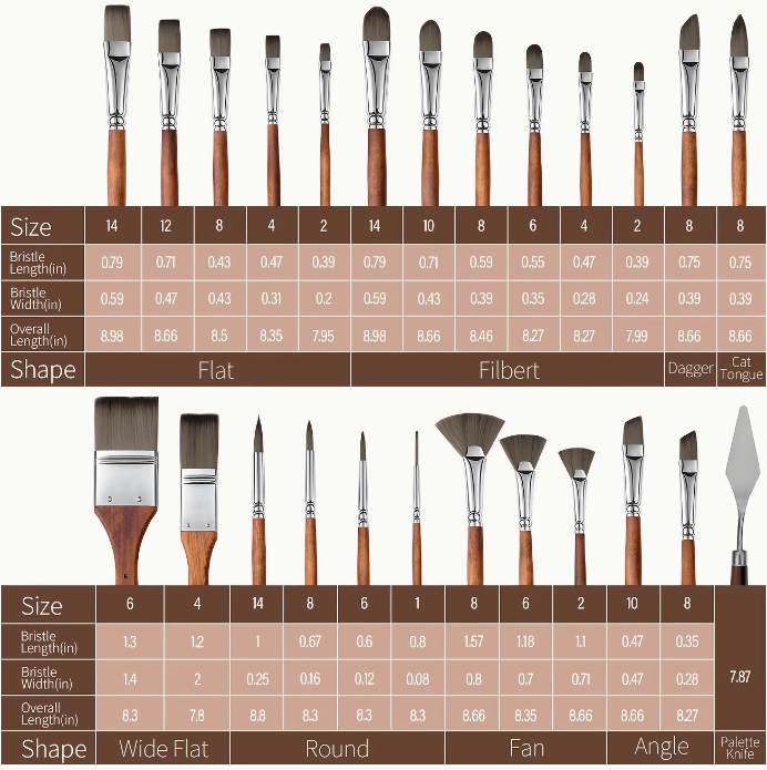 Set of paintbrushes with measurements and specifications on a brown background